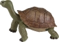 Preview: Wild Safari Wildlife Tierfigur Riesenschildkröte (Giant Tortoise) von Safari Ltd.